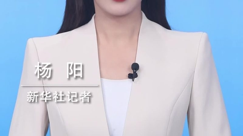 数据可视化与信息图表：本质区别与运用场景